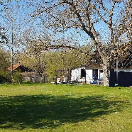 Ferienhaus Kunterbunt II Hitzacker Exteriör bild