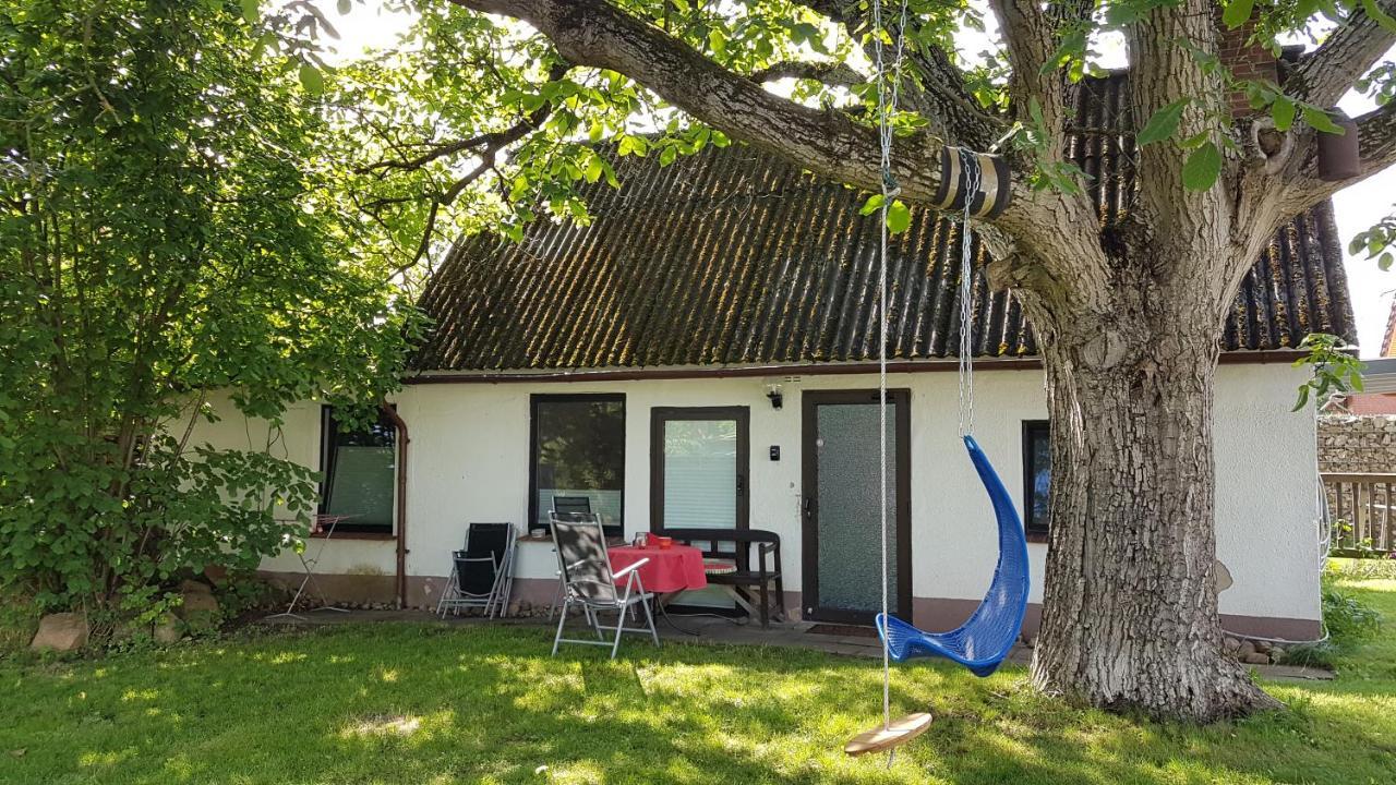 Ferienhaus Kunterbunt II Hitzacker Exteriör bild