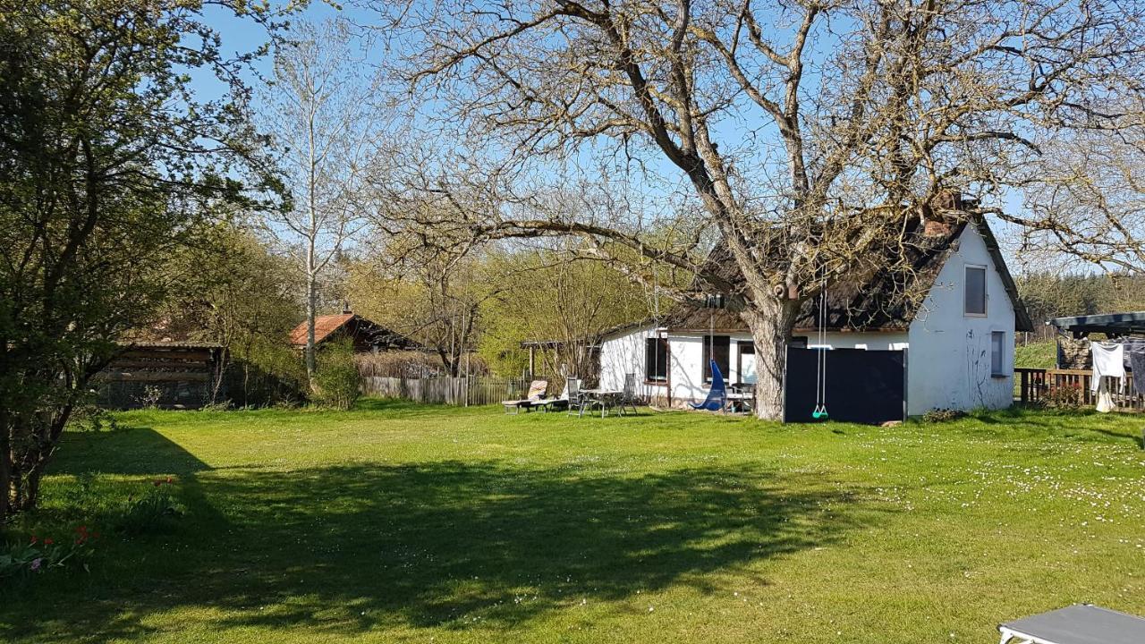 Ferienhaus Kunterbunt II Hitzacker Exteriör bild